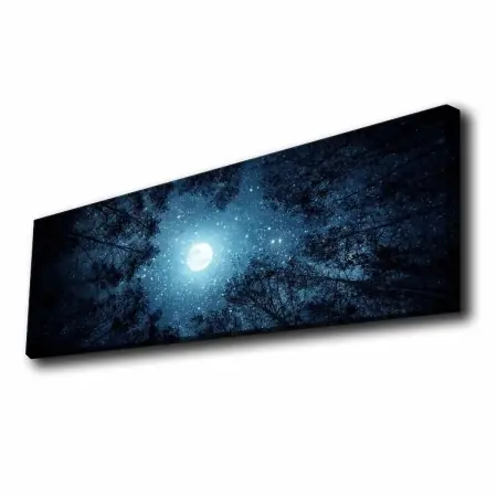Discount Wallxpert tablou canvas LED, 30x90 cm, poliester 100%, rama lemn 100% 3.5-4 cm, iluminat spate, 9V, multicolor - Verificat A · Re-Bloom